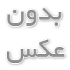 یک نخل خرمای سنشکن کنار باغ خرمای سید نظام سجادی است